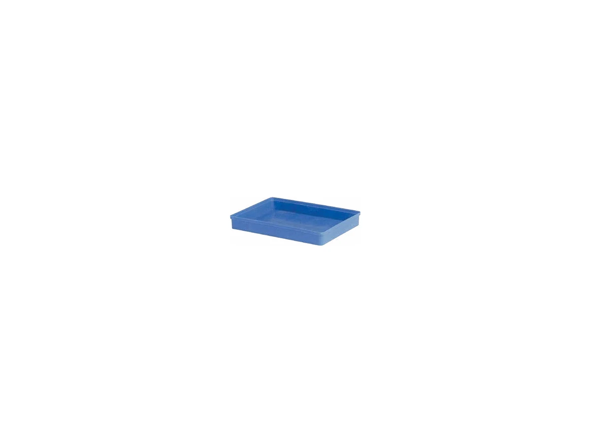 Divided Plastic Box or Tray — 310 × 225 × 40mm